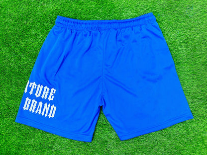 Fly Original Blue Shorts